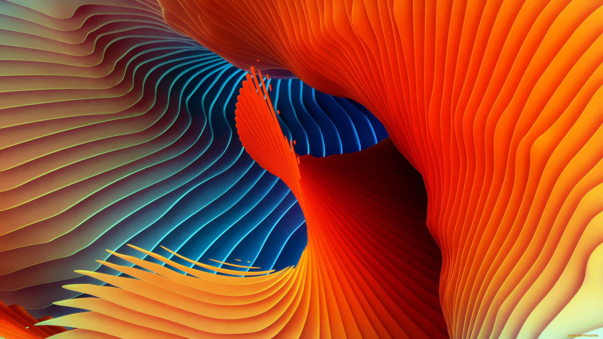  , - , graphics, , , 